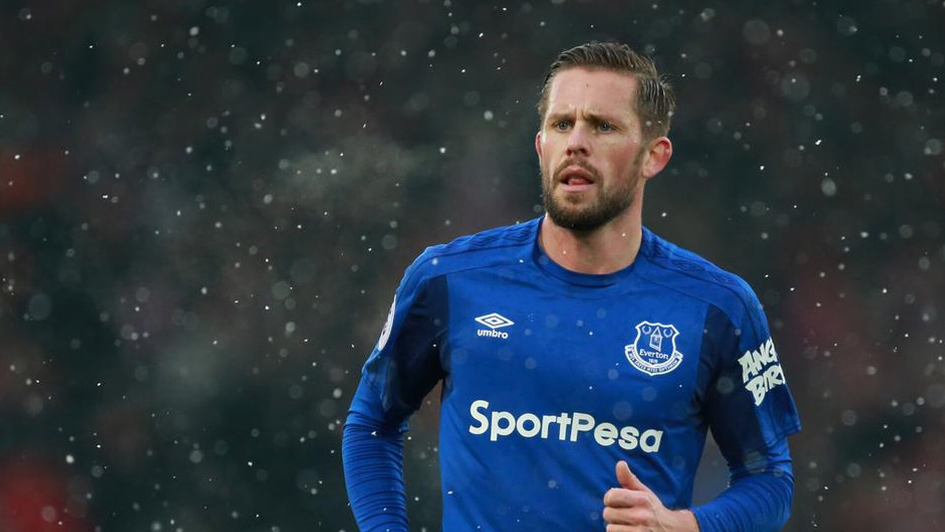 桑巴之舞，北极星黯，李刚仁遇无解铁壁，巴西力克芬兰启示录